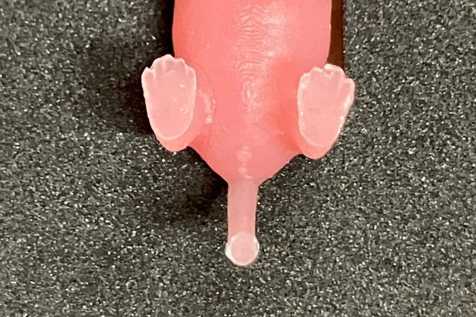 محاكيات الفأر حديث الولادة Teenie Mouse