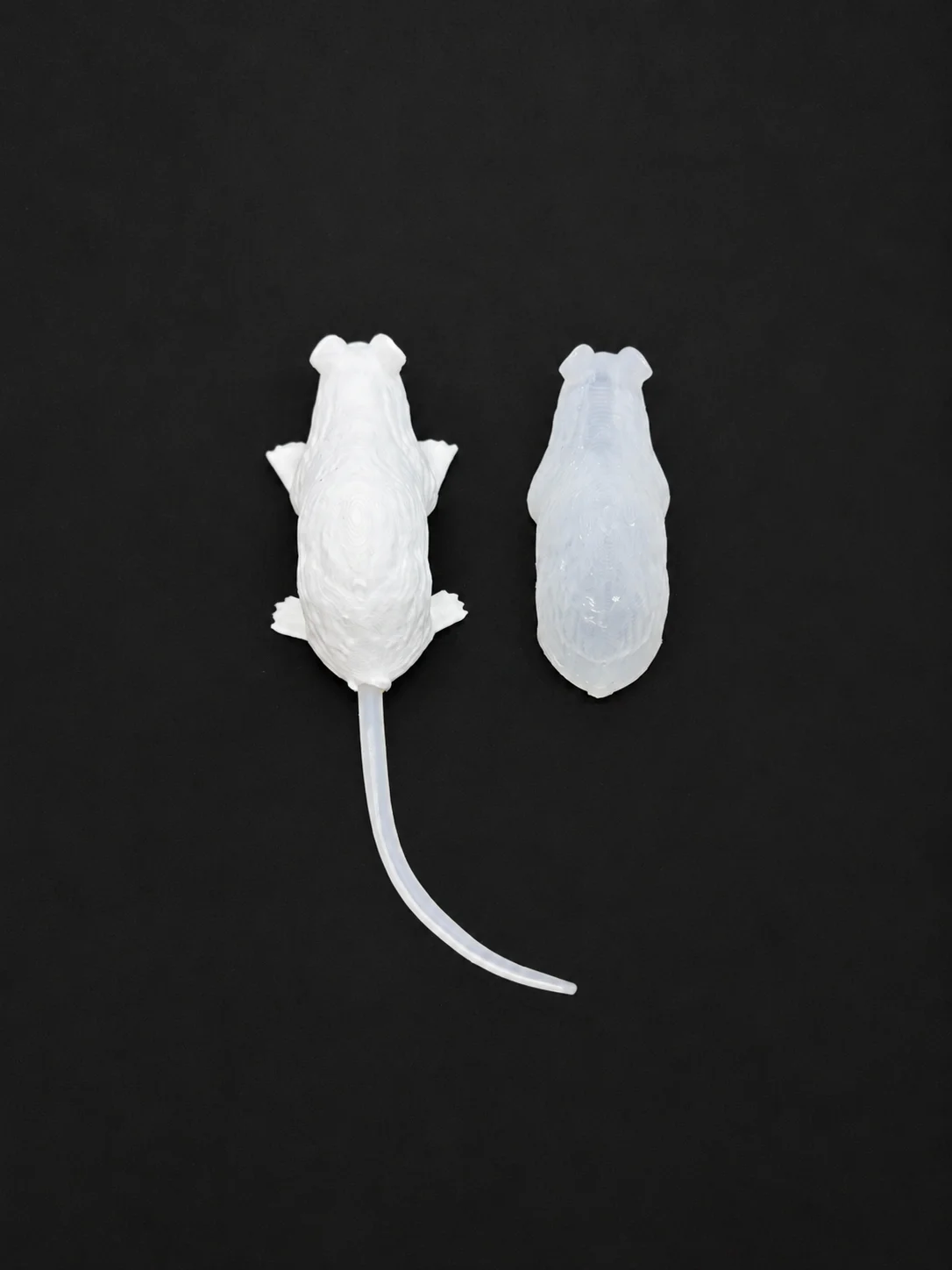محاكي الفأر الكامل Humaneway LaboPal بجلد شفاف