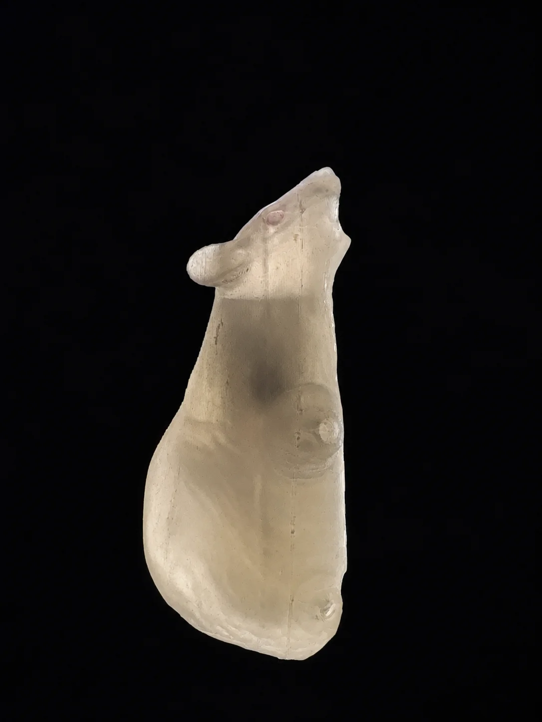 محاكي الفأر الكامل Humaneway LaboPal بجلد شفاف